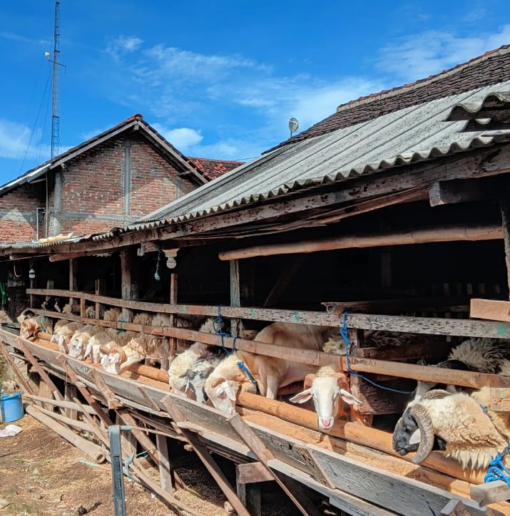 Menyongsong Idul Adha 2027: Momen Tepat Memaknai Kembali Pentingnya Ibadah Qurban
